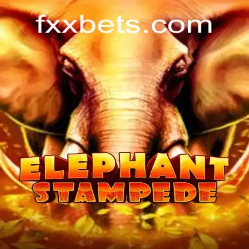 Descubra as Aventuras de ElephantStampede no Mundo de FXX.CC